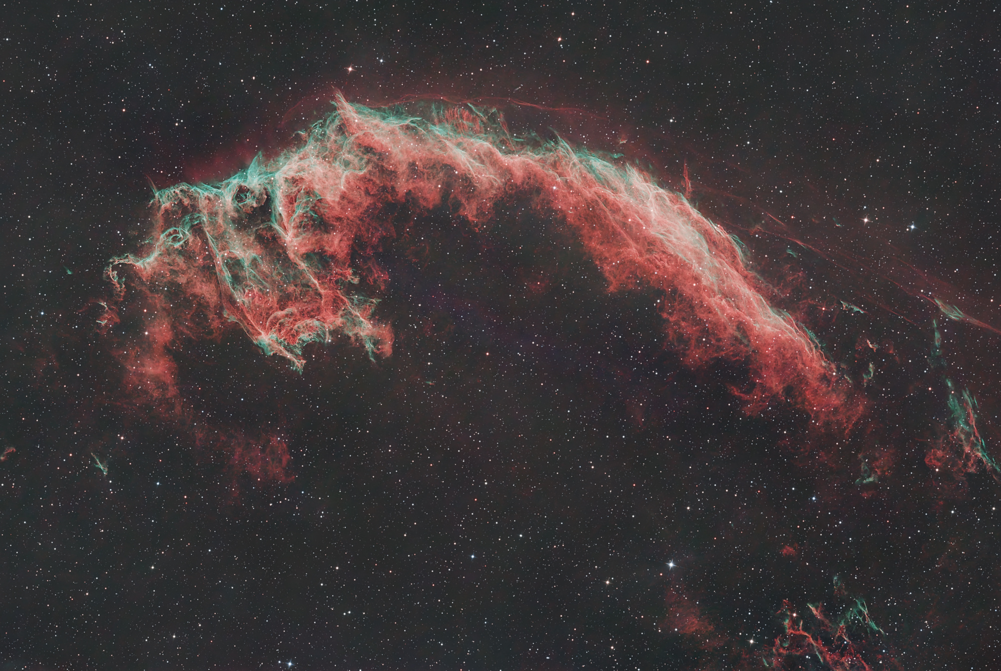 A bat can be seen in the easternmost part of the Cygnus Loop and is therefore also called the Bat Nebula NGC 6995.